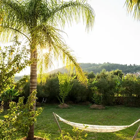 Holiday home τhalasso Palace Homes