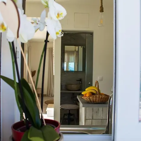 τhalasso Palace Homes 別荘 *